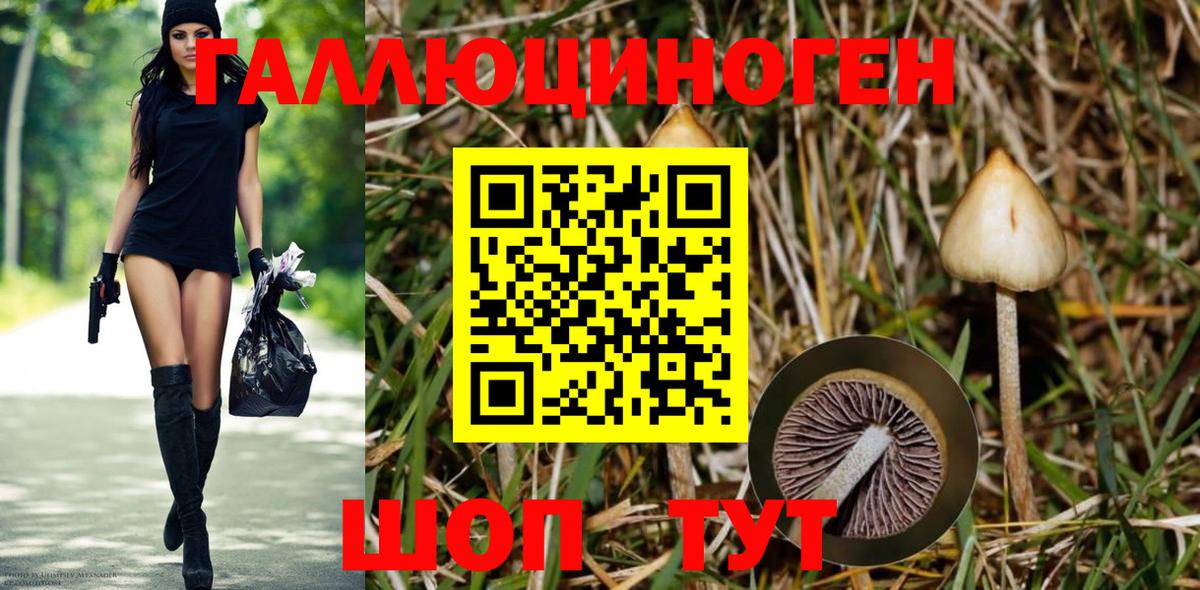 Грозный  Галлюциногенные грибы мицелий  Вход с VPN 